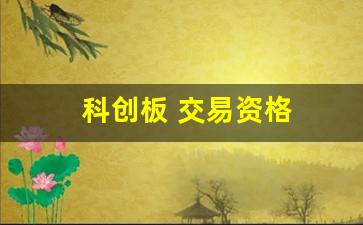 科创板 交易资格(科创板申请资格)_https://www.gen-fastener.com_广期所_第1张
